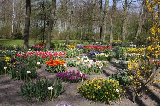 10153253_10201004752640428_5723235155681039027_n