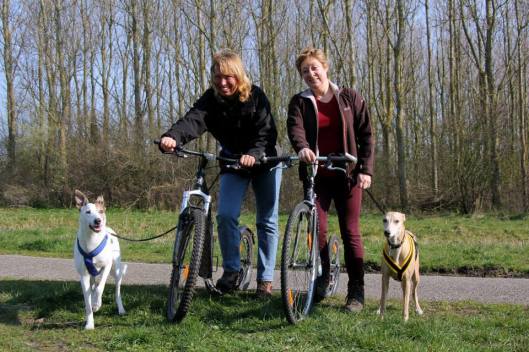 10153802_10200951697954094_1016081960_n