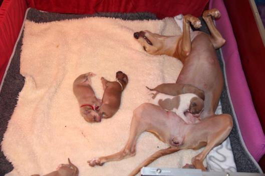 10154961_10203554091593158_5232556351154350854_n