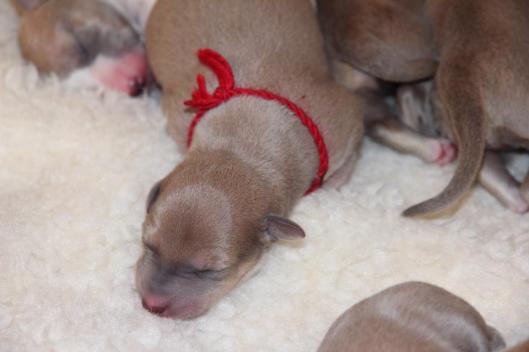 10155114_10203540663977476_5778630702992968419_n