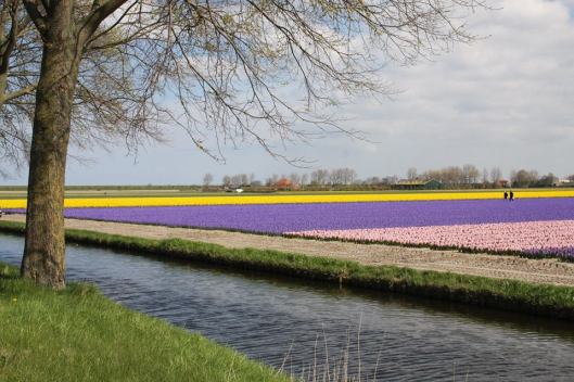 10177324_10201004750640378_4341461522599242410_n