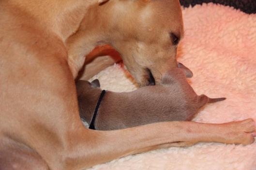 1495513_10203546426721541_6188932655801679467_n