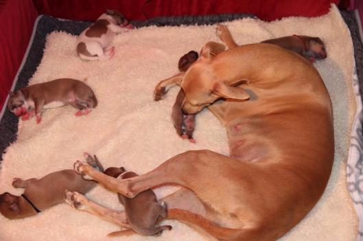 1509824_10203554092673185_4966560242837453063_n