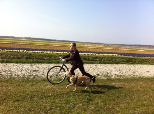 1514529_10200949632782466_869946707_n