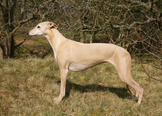 603597_10200986705429259_5114396437784193538_n