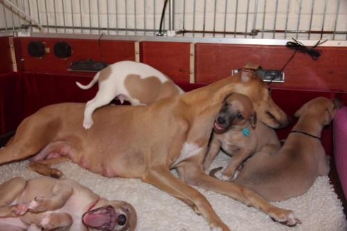 10270315_10203727441366794_1276709501520920353_n