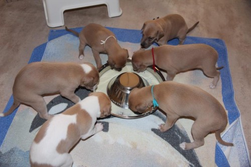 10277458_10203719736334173_2884932135919702499_n