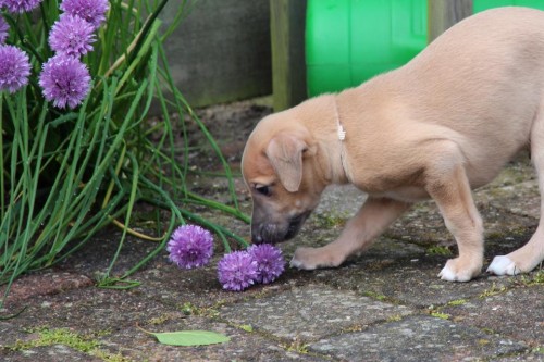 10305433_10203784400270731_4683953341820081393_n