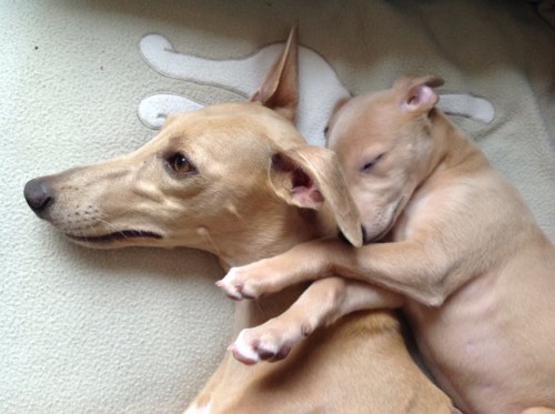 10320455_10203852486972856_4229722938238008419_n