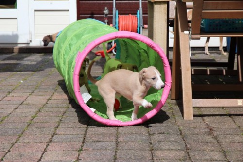 10325394_10203794679607708_6383201208330084437_n