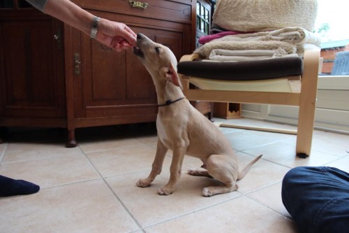 10390186_10203909634561510_3613302571050215754_n