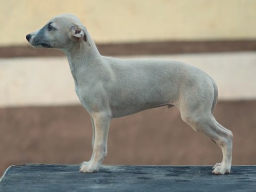 10527321_10152844978389863_4220010782310079288_n