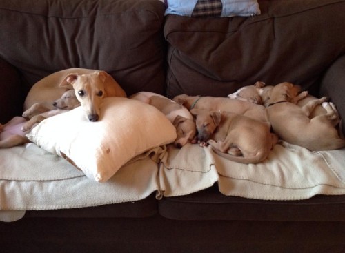 1613897_10203806080412721_6310997329813756174_n