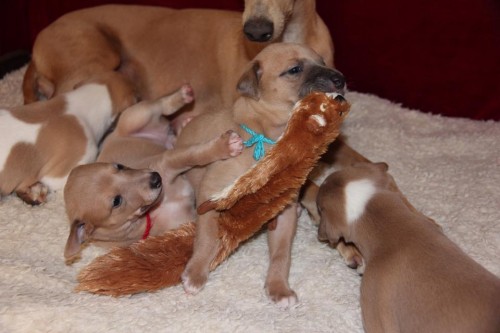 1661644_10203727439966759_4264196666563570750_n