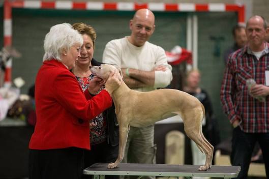 1781945_600972459983487_595442351_n