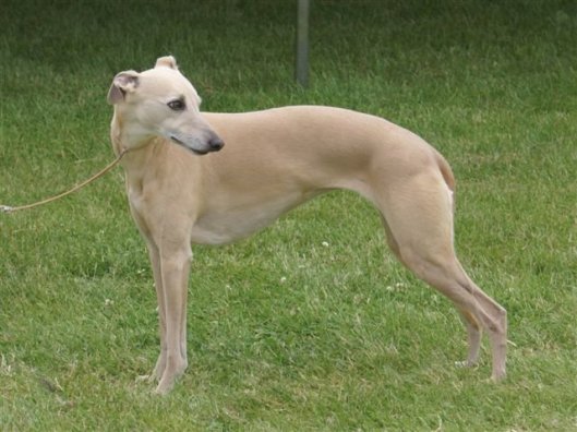 76243_1341689641715_7089329_n