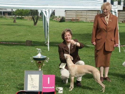 Klein 173937_PICT1468