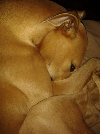 10274300_671473949567297_2043067270987603366_n