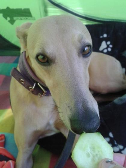 10325415_671675099547182_4079358105830967583_n