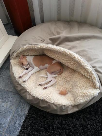 10325418_289167991255012_6679656128523870649_n