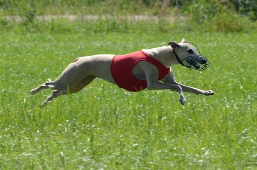 10363554_311993242290620_136496891764127286_n