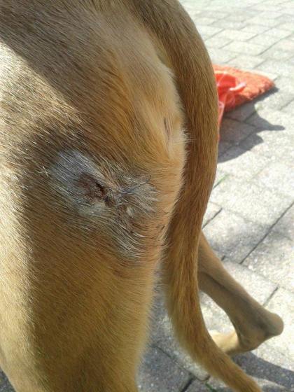 10379152_667878276593531_1185872418_n