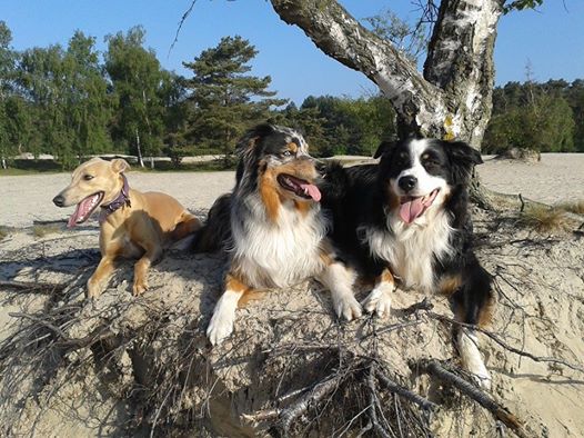 10395849_665884000126292_6769384572090357525_n