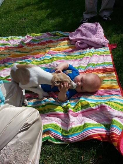 10419681_297667167071761_978137085_n