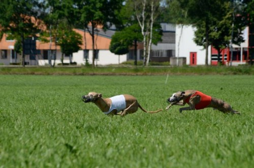 10420277_10203934085978693_5575659078056163459_n