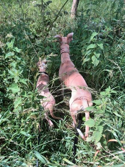 10428831_10152397800100999_696306141_n