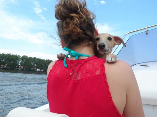 10428942_257505754450748_1740227624_n