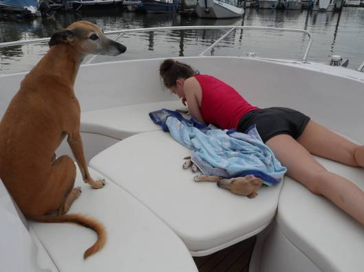 10432159_257500877784569_1550972416_n