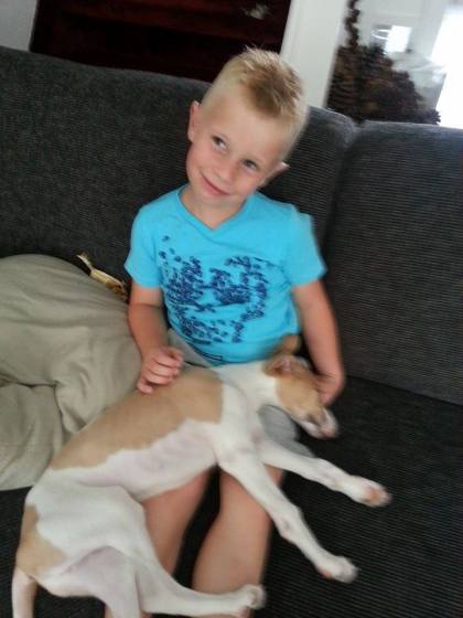 10432208_295667780605033_1056274843_n