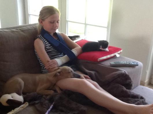 10432228_314349688733259_1749915981_n