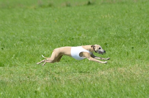 10436280_10203937971995841_420650126963580589_n