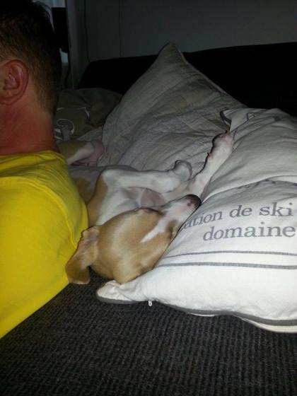 10439731_295722277266250_646606910_n