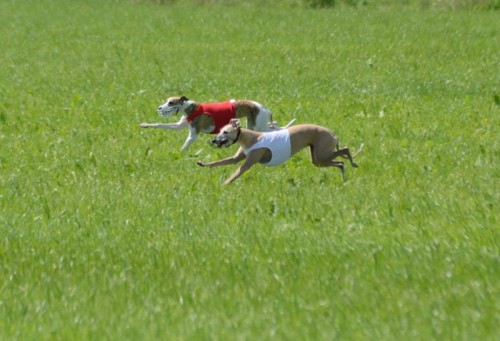 10440796_10203937970235797_633547493234586989_n