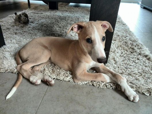 10443652_10152383527940999_6152784920134741037_n