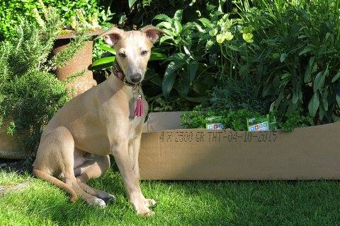 10450159_678572318892199_3786712180461044853_n