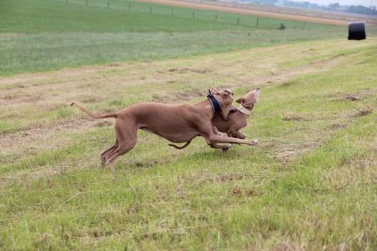 10455400_10204013817846027_1632441880_n