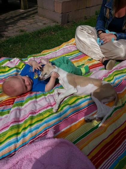 10466937_297603167078161_1222909874_n