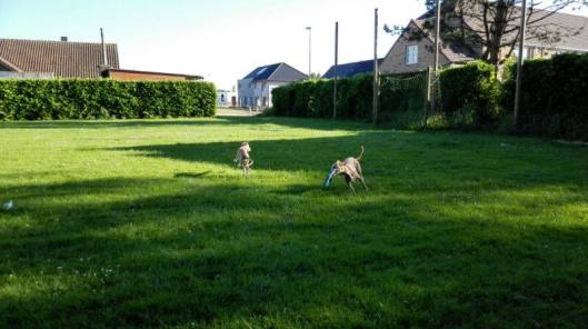 10470665_10152413741660999_594927849_n