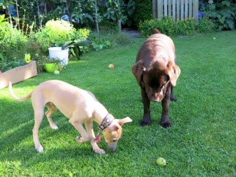 10500556_678574988891932_6787941061391898966_n