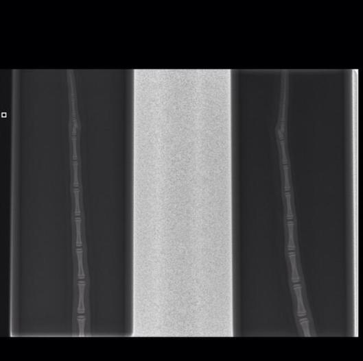 10569973_10204305201090426_1845778516_n