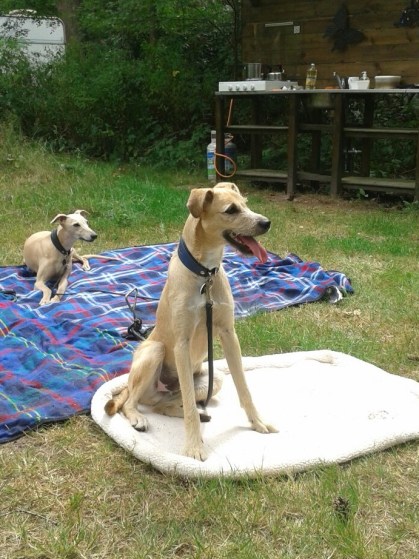 4e1a1f1c61863c77f52fc027f12d6d90