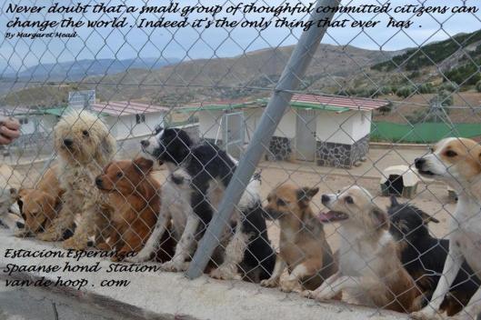 10502243_356753704471725_6816287655188855890_n