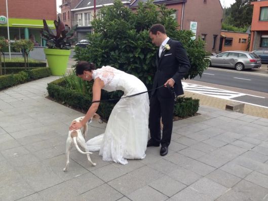 10154471_10152431189418882_1962882846646242581_n