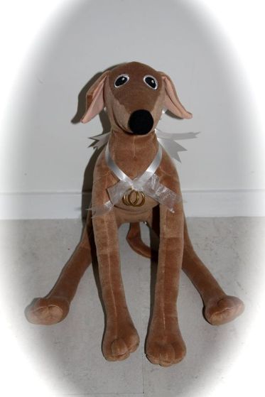 10550197_10201810398701076_2490475377915550672_o