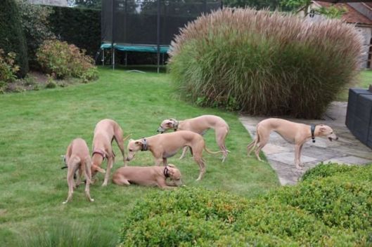 10668269_10204682659446649_1842243003_n