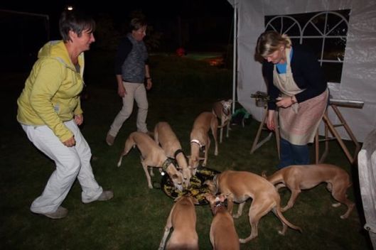 10668460_10204682681447199_1288089840_n